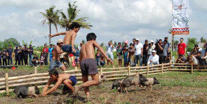 Lomba Ngejuk Kucit dalam Serangkaian Kegiatan Perayaan HUT RI ke-73 di Desa Bonyoh